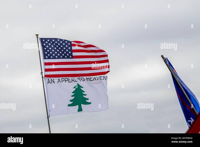 st-paul-minnesota-stop-the-steal-and-seek-the-truth-and-encourage-action-rally-for-president-trump-at-the-state-capitol-an-appeal-to-heaven-flag-2DYWBKG